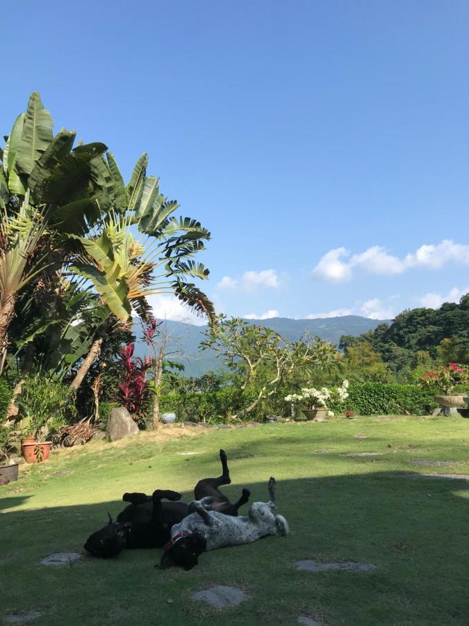 Wisdom Garden Home Stay Yuli Exteriör bild
